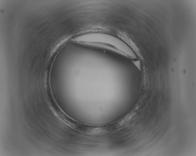 X0000079580058200612221441