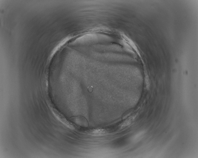 X0000079580059200612221441