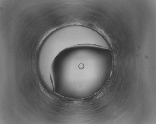 X0000079580060200612221441