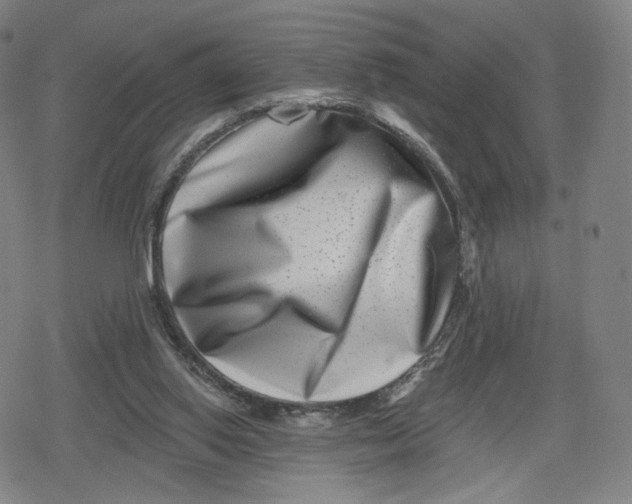 X0000079580062200612221441