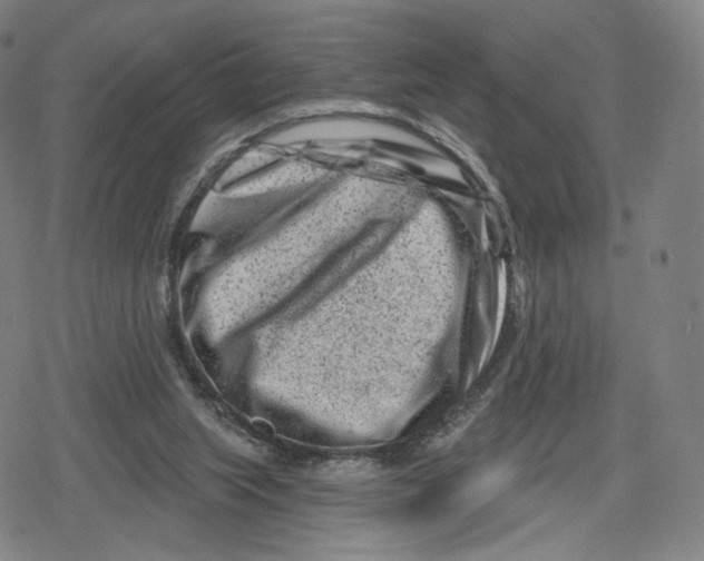 X0000079580063200612221441