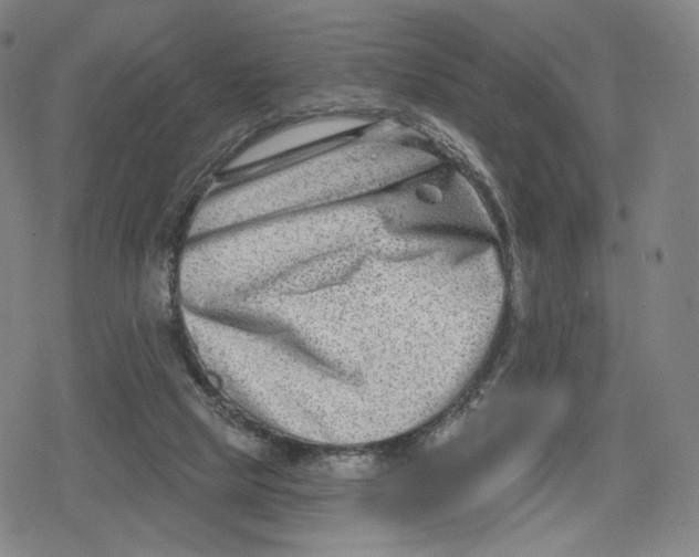 X0000079580065200612221441