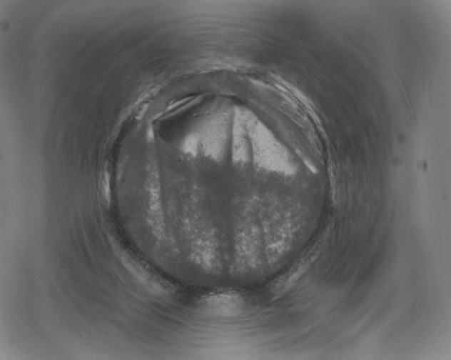 X0000079580067200612221441