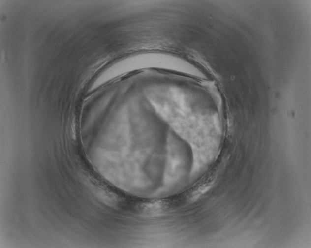 X0000079580068200612221441