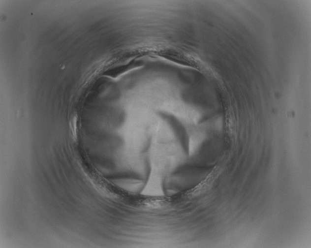 X0000079580070200612221441