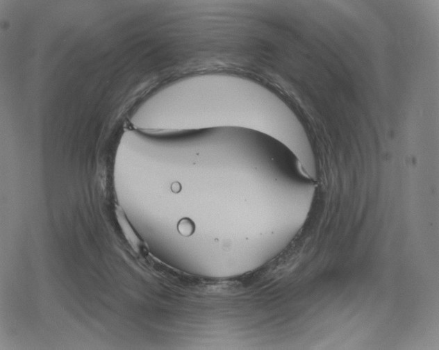 X0000079580072200612221441