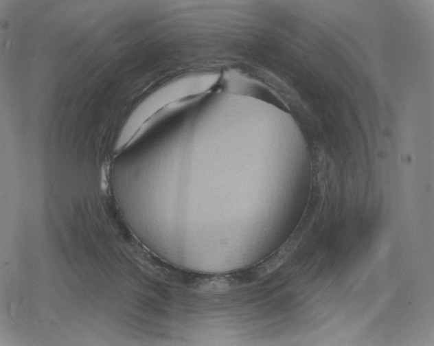 X0000079580075200612221441