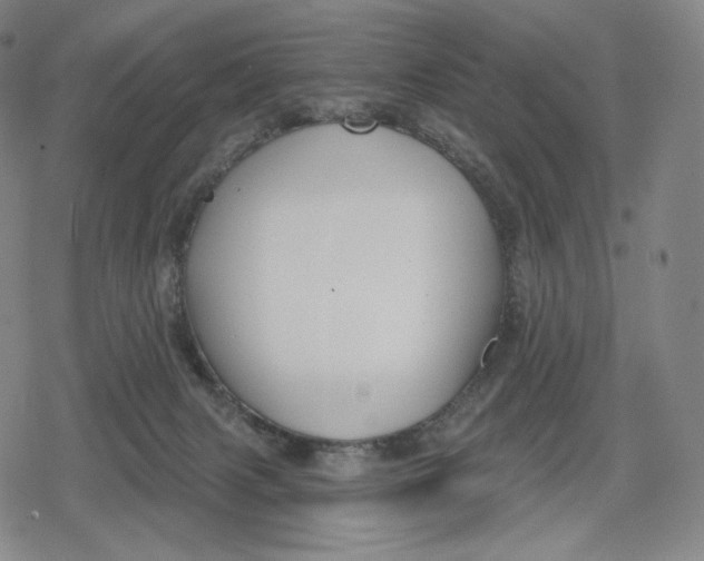 X0000079580079200612221441