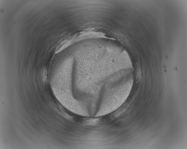 X0000079580081200612221441