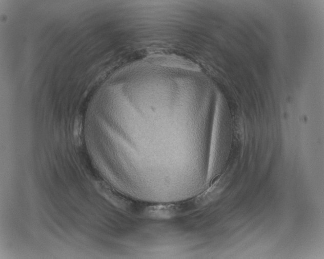 X0000079580082200612221441