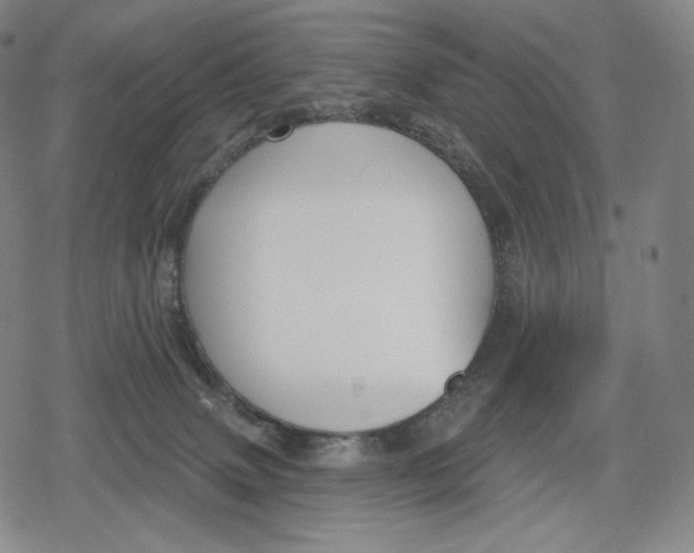 X0000079580083200612221441