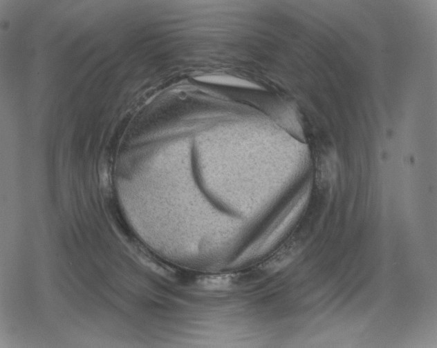 X0000079580084200612221441