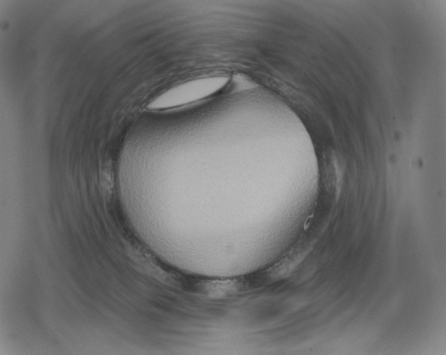 X0000079580085200612221441