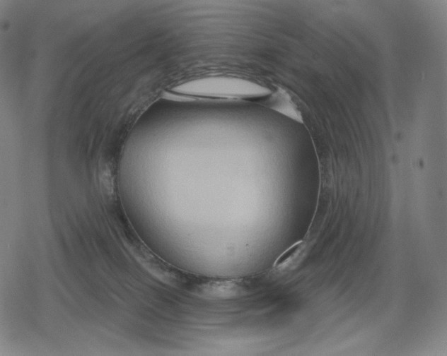 X0000079580086200612221441