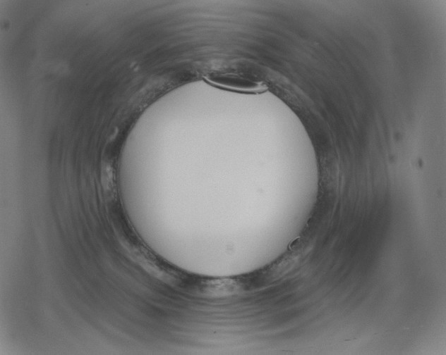 X0000079580087200612221441