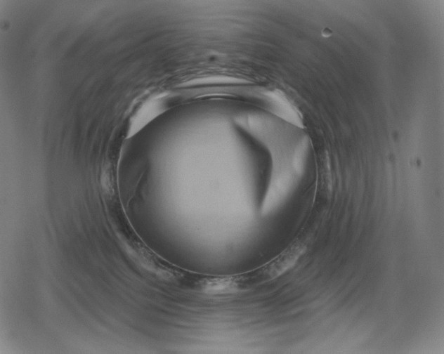 X0000079580088200612221441