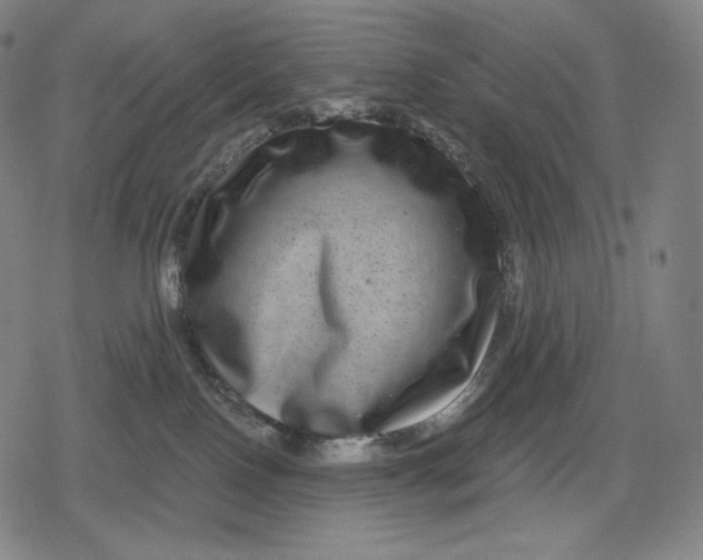 X0000079580090200612221441