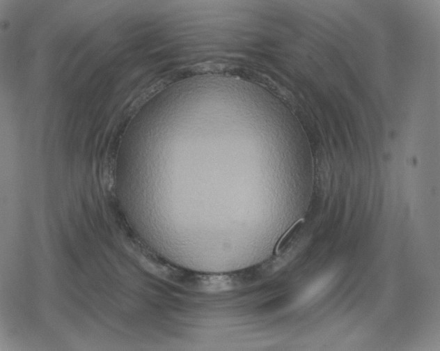 X0000079580091200612221441