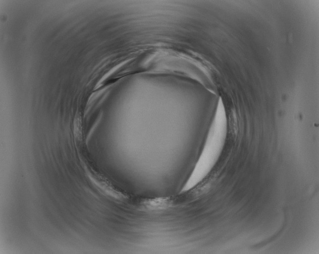 X0000079580092200612221441