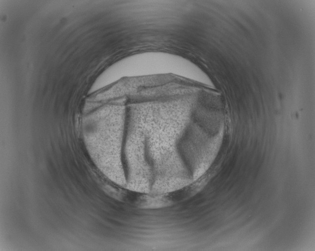 X0000079580093200612221441