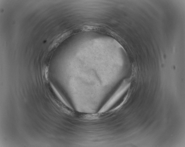 X0000079580094200612221441