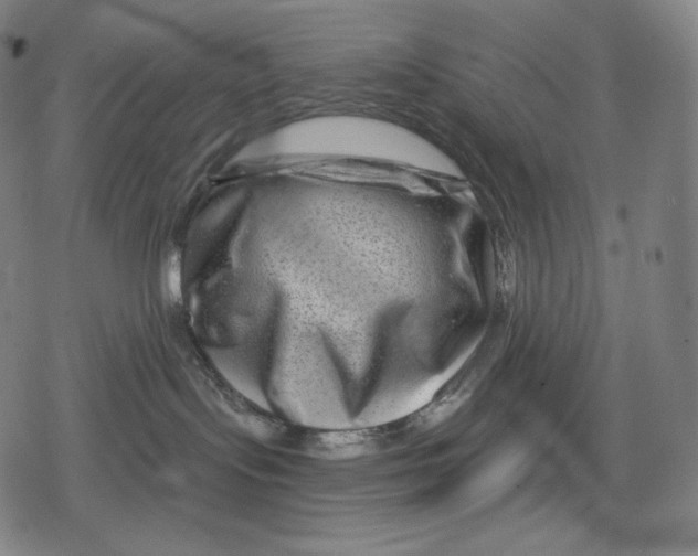 X0000079580095200612221441