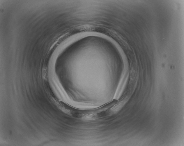 X0000079580096200612221441