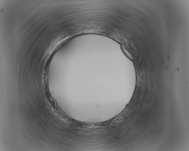 X0000079580098200612221440