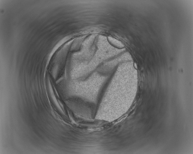 X0000079580100200612221440