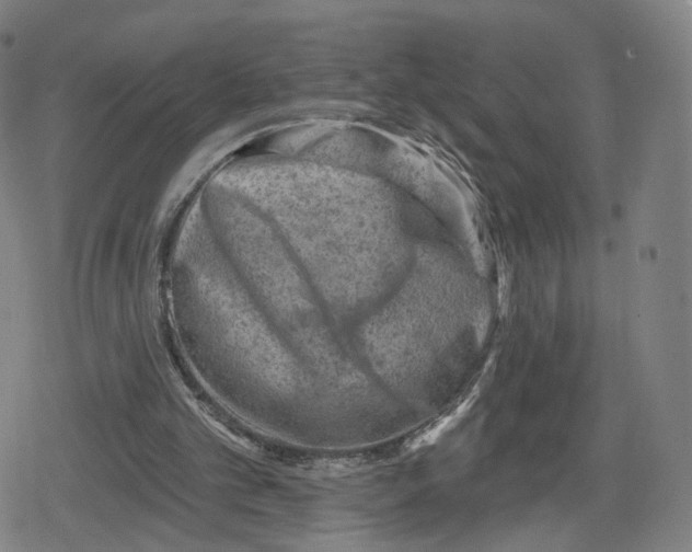 X0000079580101200612221440