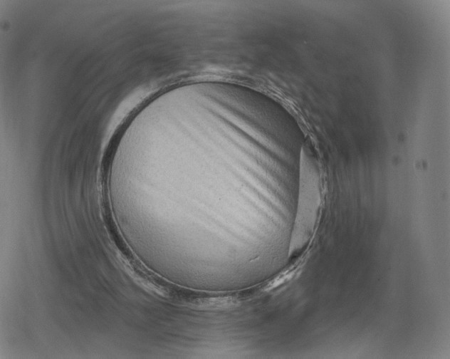 X0000079580102200612221440