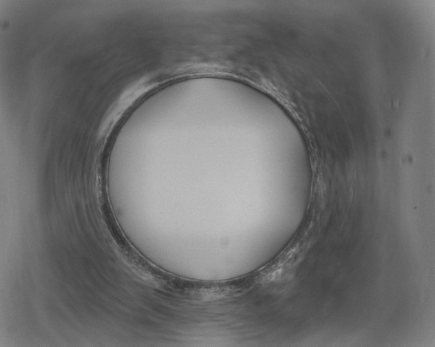 X0000079580103200612221440