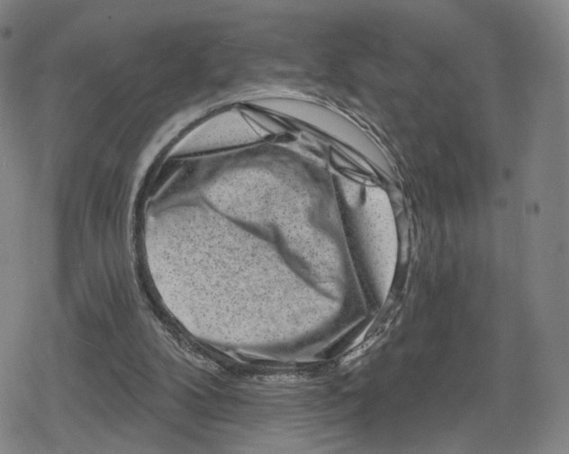 X0000079580104200612221440