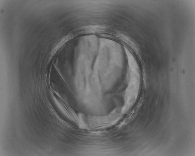 X0000079580105200612221440