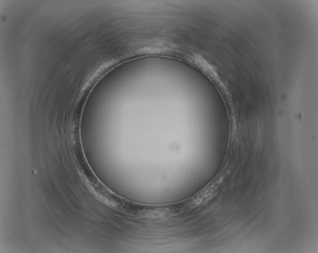 X0000079580106200612221440