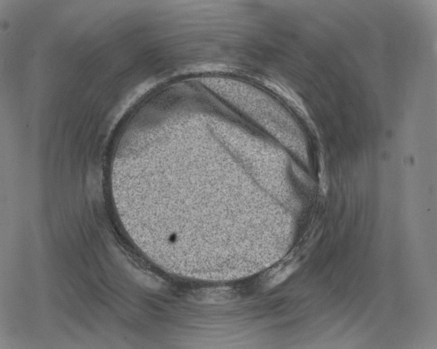 X0000079580108200612221440