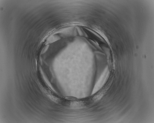 X0000079580109200612221440