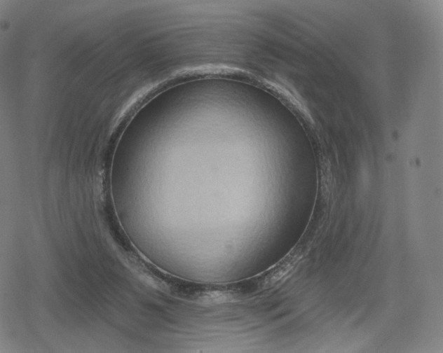 X0000079580111200612221440