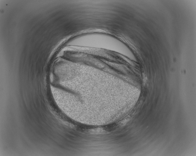 X0000079580112200612221440