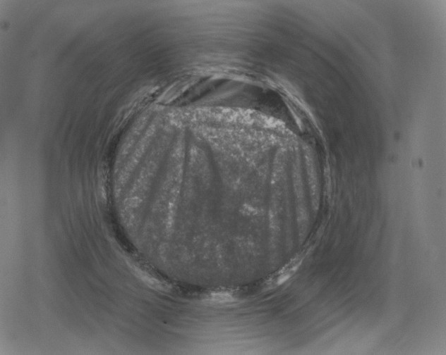 X0000079580114200612221440