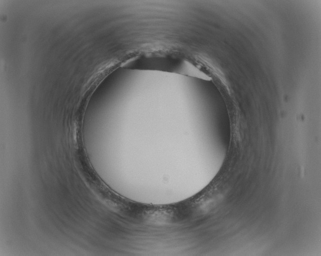 X0000079580115200612221440