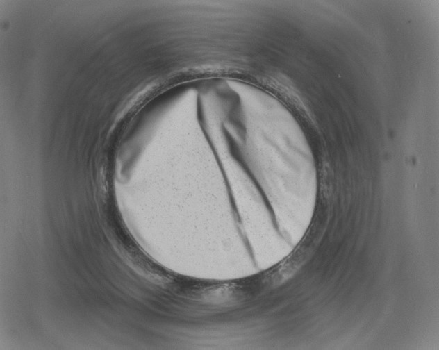 X0000079580116200612221440