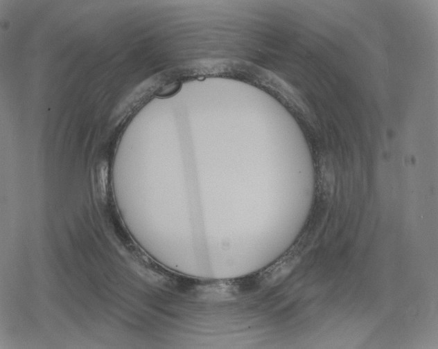 X0000079580118200612221440