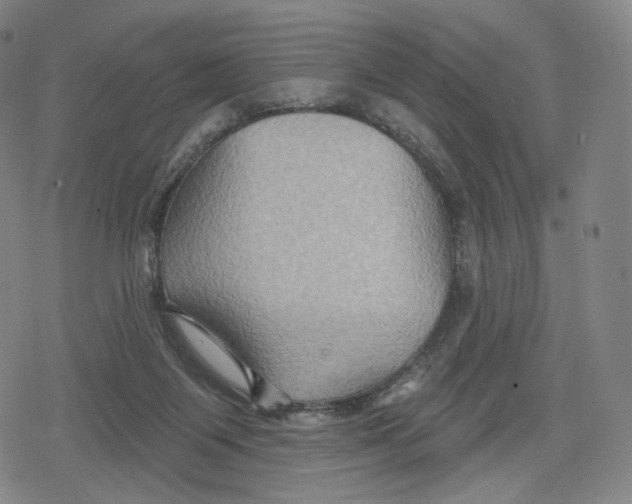 X0000079580119200612221440