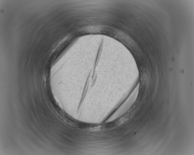 X0000079580120200612221440