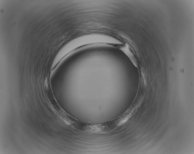 X0000079580121200612221440