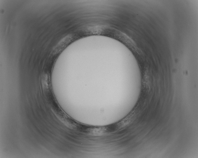 X0000079580122200612221440