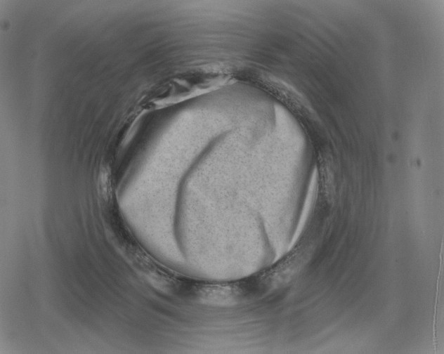 X0000079580123200612221440