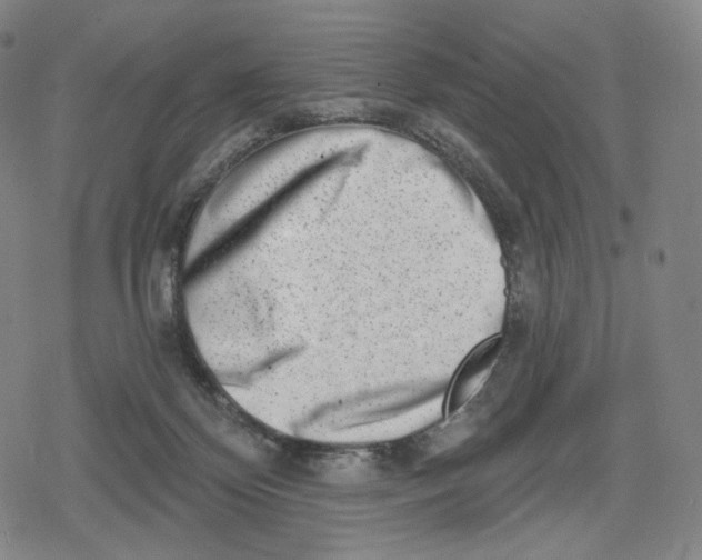 X0000079580124200612221440