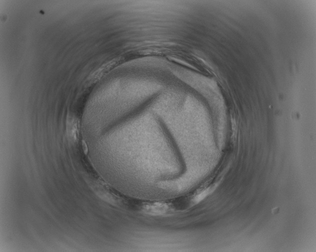 X0000079580125200612221440